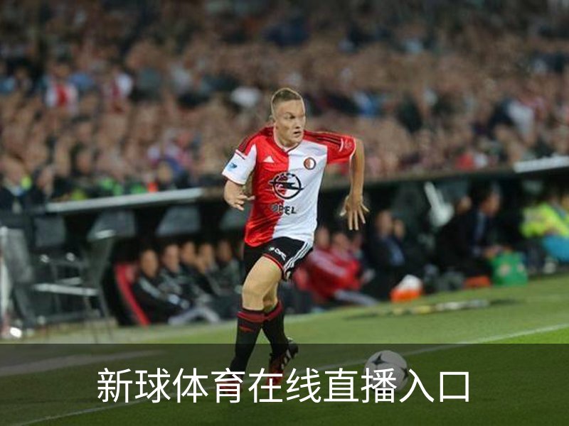 走进新球体育在线直播入口